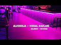 Alcoholia - Vishal And Sheykhar [Slowed + Reverb] | Vikram Vedha | Hrithik Roshan, Saif Ali Khan
