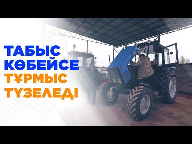 Табыс көбейсе, тұрмыс түзеледі