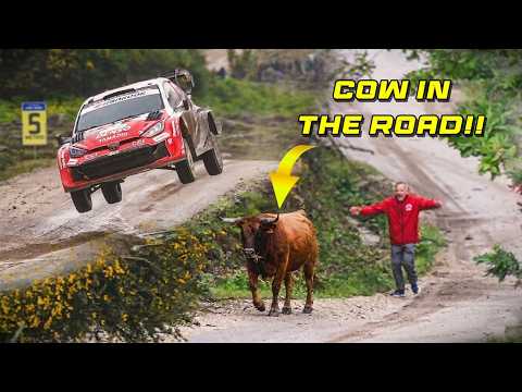 WRC Rally de Portugal 2026⚠️ BEST OF!