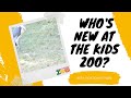 Who S New At The Kids Zoo Marabou Storks