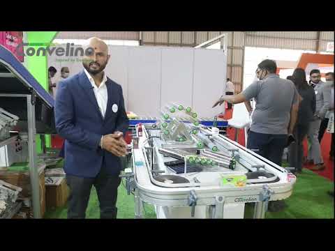 Flexible Chain Conveyor