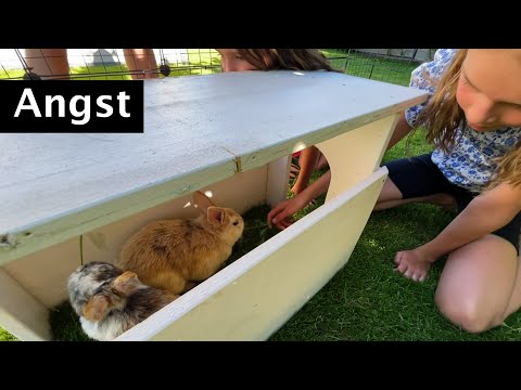 Kindergottesdienst | 20.06.2021 | Die Angst