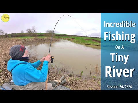 Wonderful Winter Fishing On A Tiny River - FISH OF A LIFETIME! (PB) - 20/2/24 (Video 473)