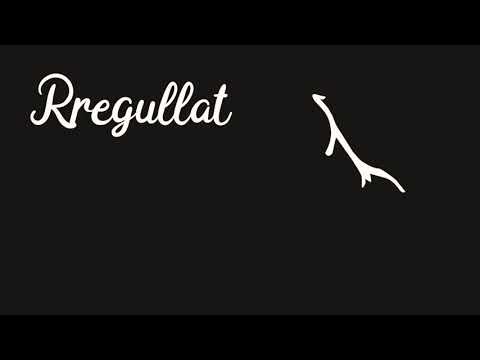 TEXHUID Rregullat e nunit me sukun dhe tenwijnit.  3-IKLABI