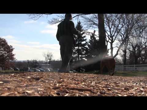 The Force Is Strong With Yoda!