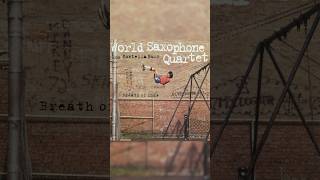 World Saxophone Quartet &amp; Fontella Bass&#39; album &#39;Breath of Life&#39; was released 30 years ago #shorts