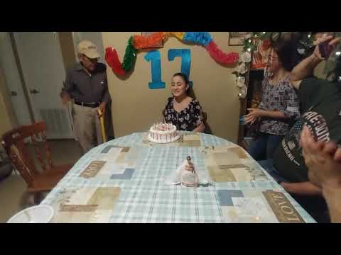 Danielle 17th Birthday