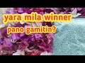 Pano Gamitin Ang Yara Mila Winner Sa Bougainvillea Royale Garden