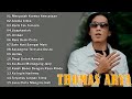 Lagu Viral Paling Enak Didengar Thomas Arya Full Album Aroma Cinta Perih Tak Terkata