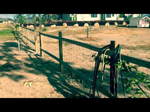 Our NEW 1 acre homestead