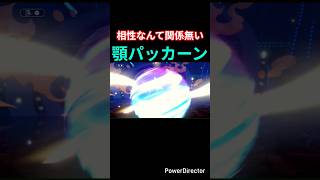 顎パッカーン#pokemon#pokemonchampions #あんたが大将