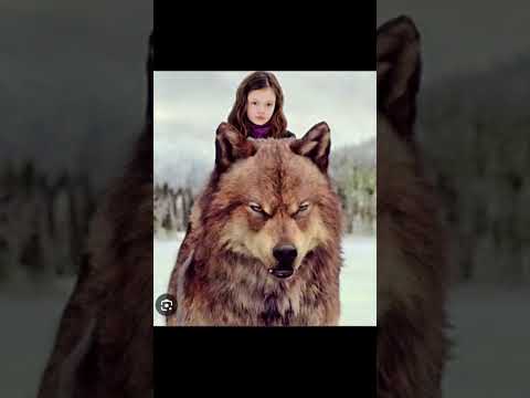 Jacob & Renesmee #twilight #renesmee #jacob