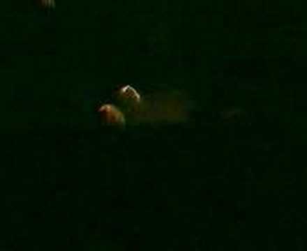 Arman Van Helden @ Shelbourne for WMC 06