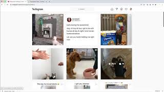Download Instagram Videos Online in MP4