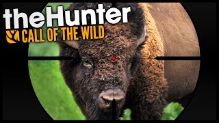 The Hunter: Call Of The Wild - BISON HUNTING! - Let&#39;s Play The Hunter Call Of The Wild Gameplay