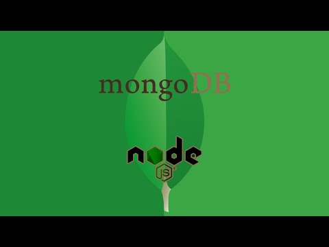 Node JS for Beginners MongoDB Setup
