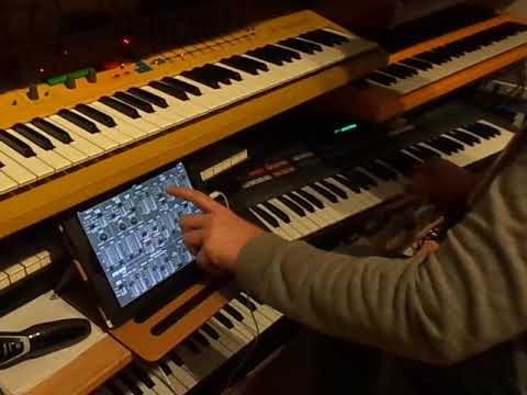 Roland JX-8P + iPad iPG800 analog Pad
