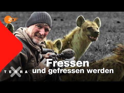 Kreislauf des Lebens | Andreas Kieling | Ganze Folge | Terra X