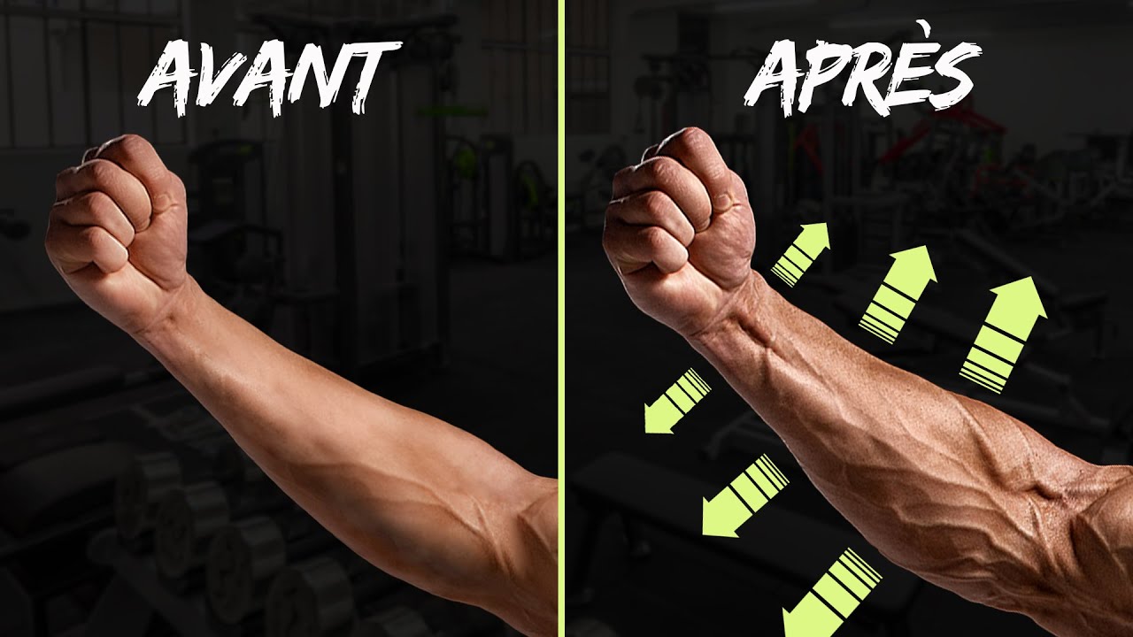 MUSCLER les AVANTS-BRAS (et éviter les douleurs aux coudes)