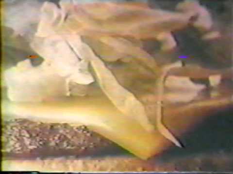 1967 McDonald's Commercial - Big Mac Introduction