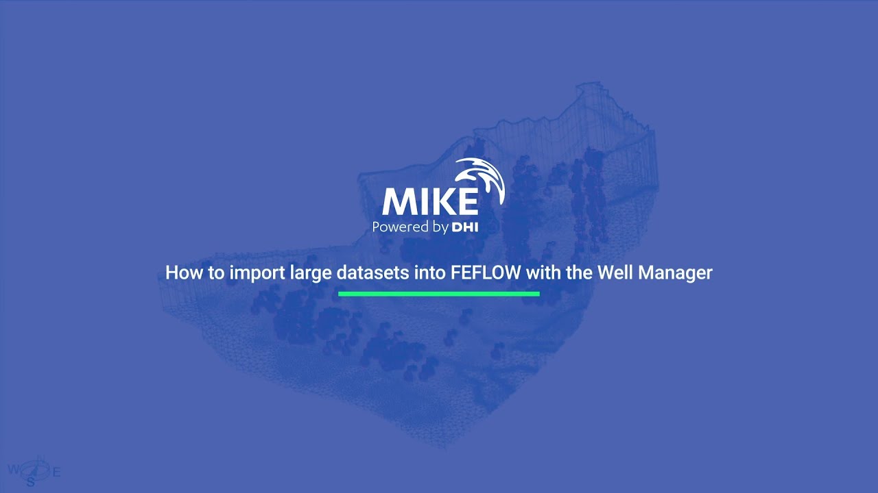 FEFLOW | How to import large datasets with the Well Manager in FEFLOW 8.0