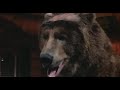Best Bear Scene From The Great Outdoors 1988