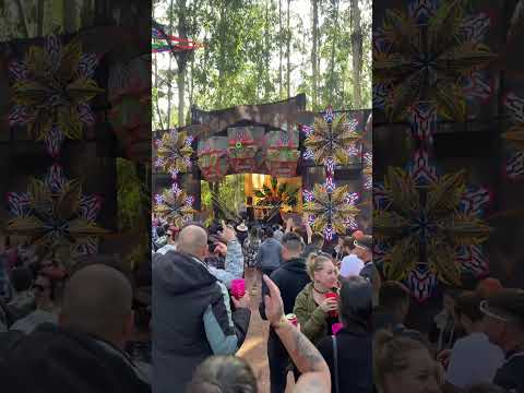 Psycodélicos Vs Pessegodelia