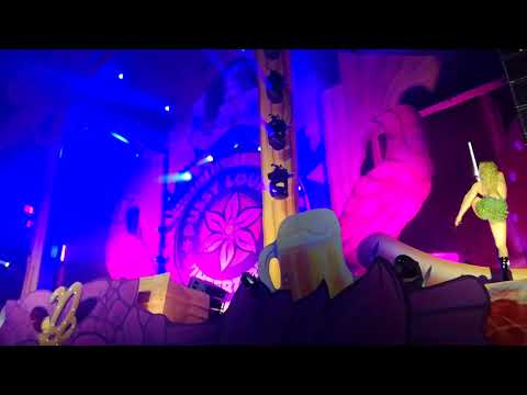 The Viper @ Pussy Lounge - Wintercircus 2018