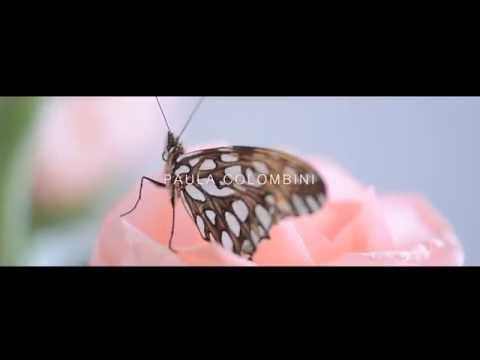 MORAVIA Jeans - Verano 015 - Paula Colombini