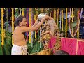 Natarajaswamy Kalyanam Srikalahasthi Viral Trending
