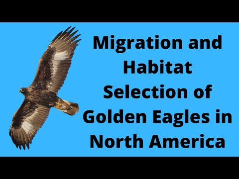 Migration and Habitat Selection of Golden Eagles in North America