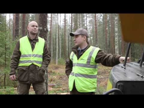 Metsätalous - Hämeen ammattikorkeakoulu