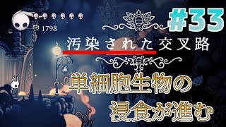 【実況】一匹のムシと滅びゆく王国の物語＃３３【Hollow Knight】
