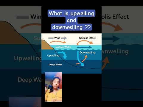 what is the difference between unwelling and downwelling ? #oceanography #geography #upwelling