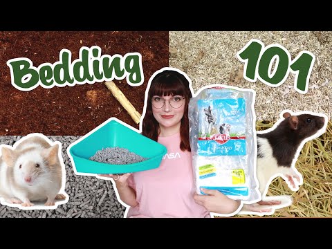 YouTube video about: What bedding is best for rats?