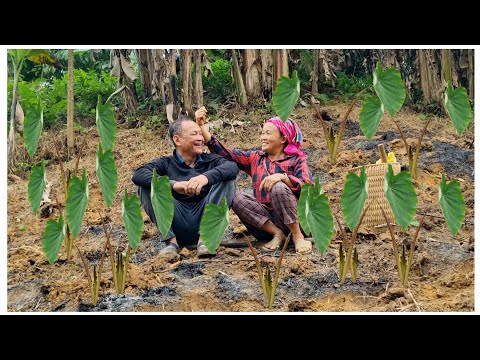 Simple yet heartwarming: Ms. Lien and Mr. Vinh overcome difficulties together.
