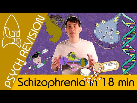 Schizophrenia in 18 min