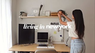 20 Something Diaries | desk makeover, new plants, struggles of being a content creator