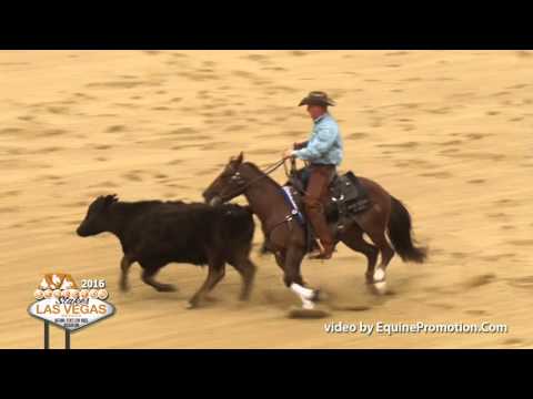 SJR Diamond Rey and Corey Cushing – 2016 NRCHA Stakes Open Champions