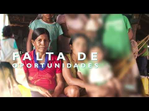 Ganador