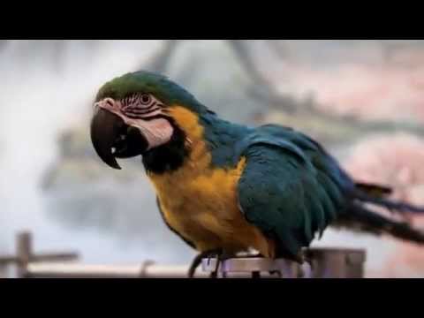 Mitakon 35mm f0.95 - Fuji X Mount