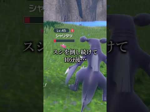 ツノバイオレット、ツノパンジー、ツノパンジー、ヴィオラコルヌータ