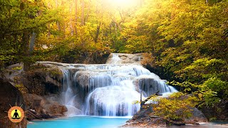 🔴 Relaxing Music 24/7, Sleep Music, Stress Relief Music, Spa, Meditation, Yoga, Zen, Flowing Stream