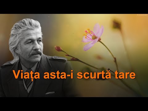 Mihai Volontir - Viața asta. 🄺🄰🅁🄰🄾🄺🄴