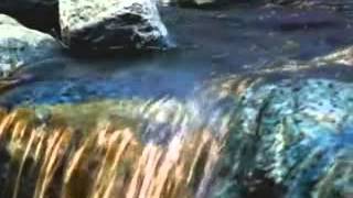 Danzaré Cantaré.Marcos Witt con letra.