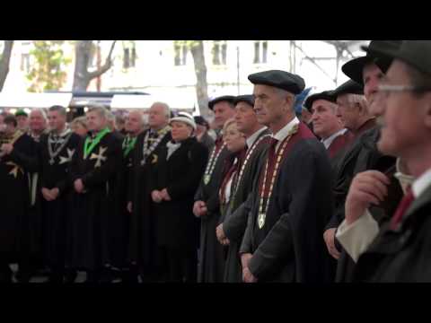 Martinovanje, Ptuj 2016