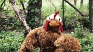 Full Service: Layla is NOT chickening out!