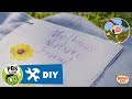 NATURE CAT Fill Your Nature Journal With Nature Cat PBS KIDS