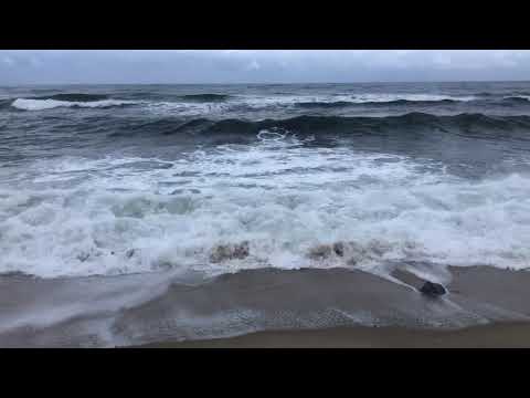 The Sound of the Waves in Gangneung Sacheon Beach