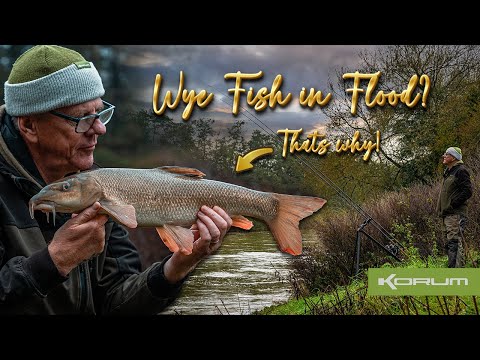 River Wye In Flood - Barbel Fishing